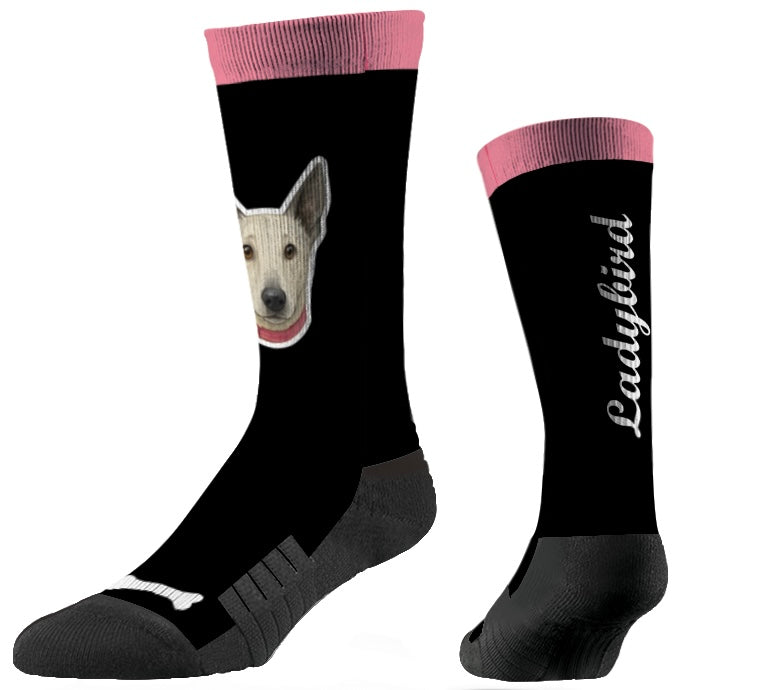 You've Been Socked: The LadyBird