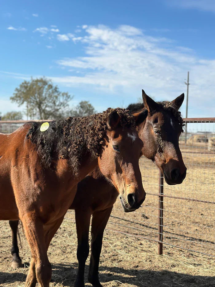 21 Lives Saved Last Night — But Our Fight Isn’t Over..