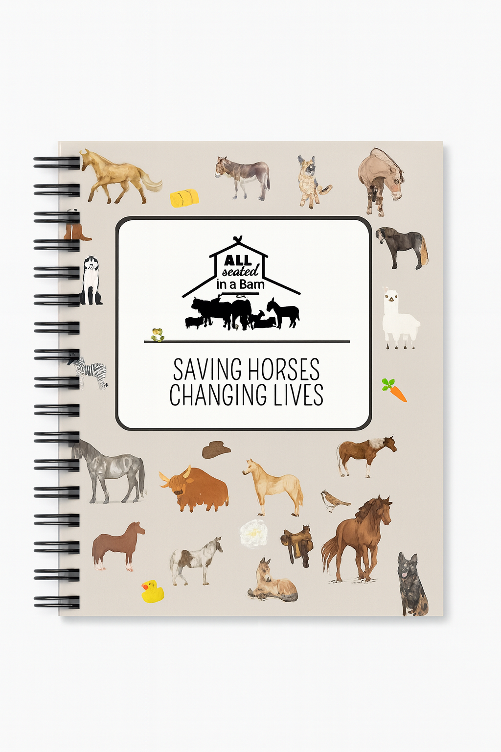 Notebooks and Journals