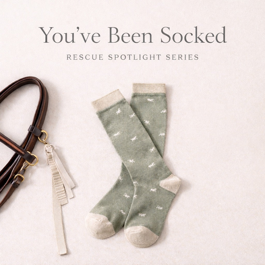 YBS: Rescue Spotlight Series