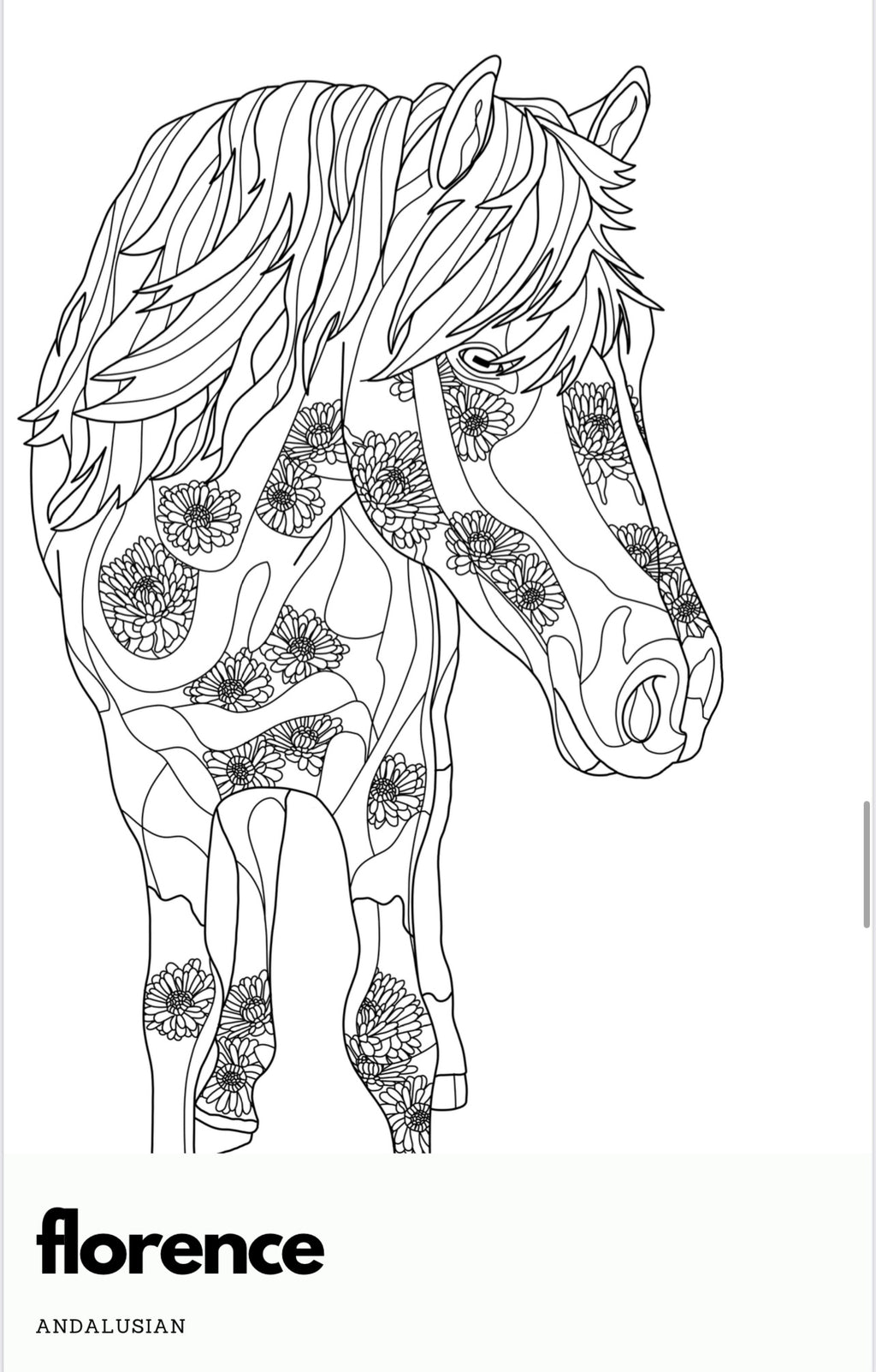 ASIAB Issue 2 || Coloring Book and ASIAB Crayons image 3