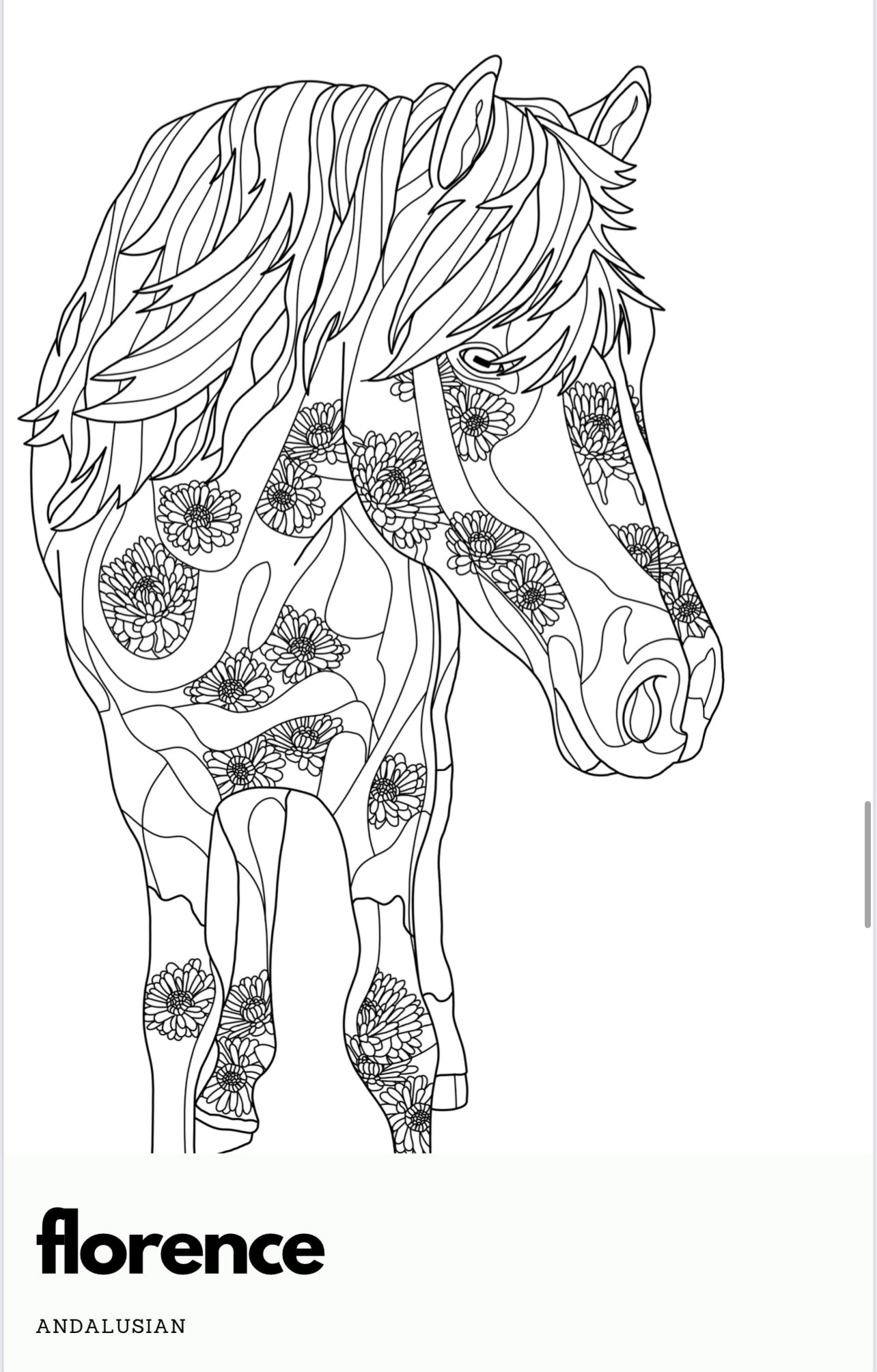 ASIAB Issue 2 || Coloring Book and ASIAB Crayons image 3