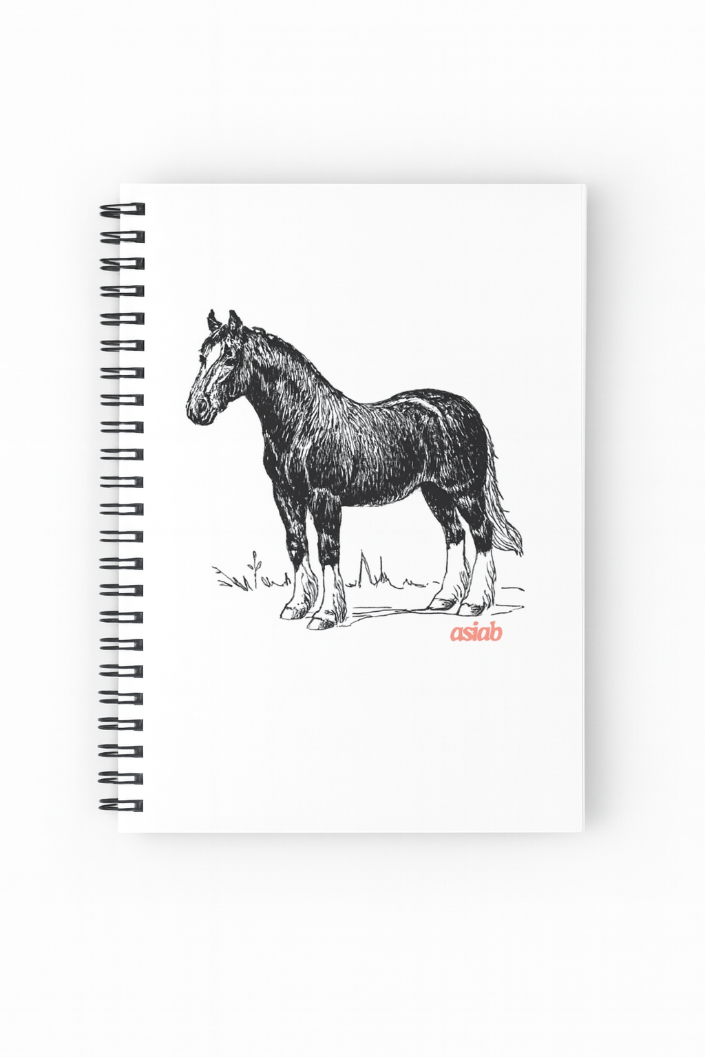 ASIAB Horse Notebook