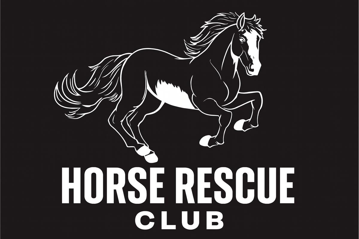 the Horse Rescue Club - About – All seated in barn