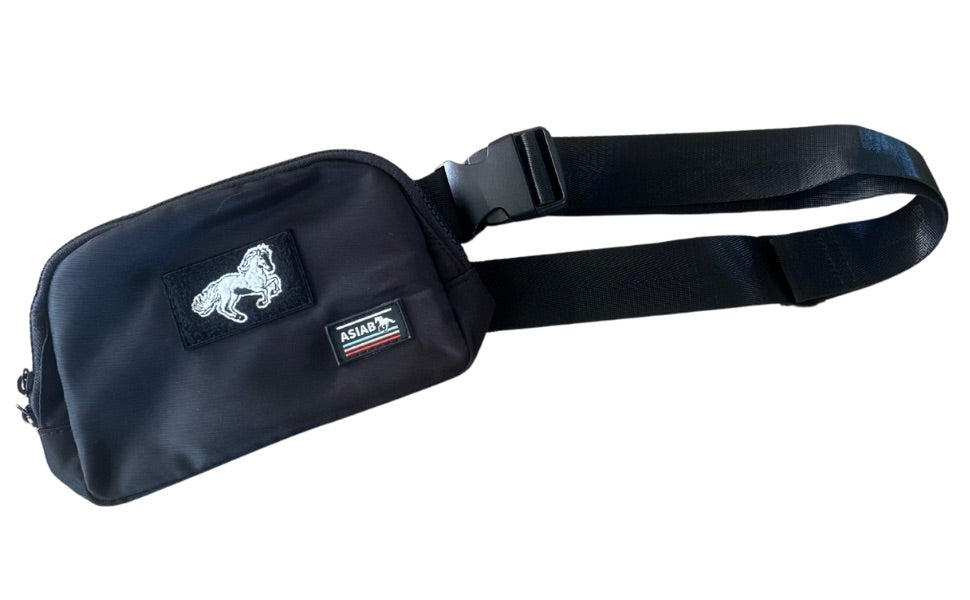THE ‘All Stored in a Bag’ Fanny Pack image 0