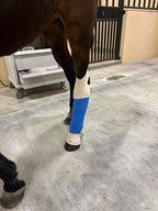 The Lucky Horseshoe Hat — April Drop