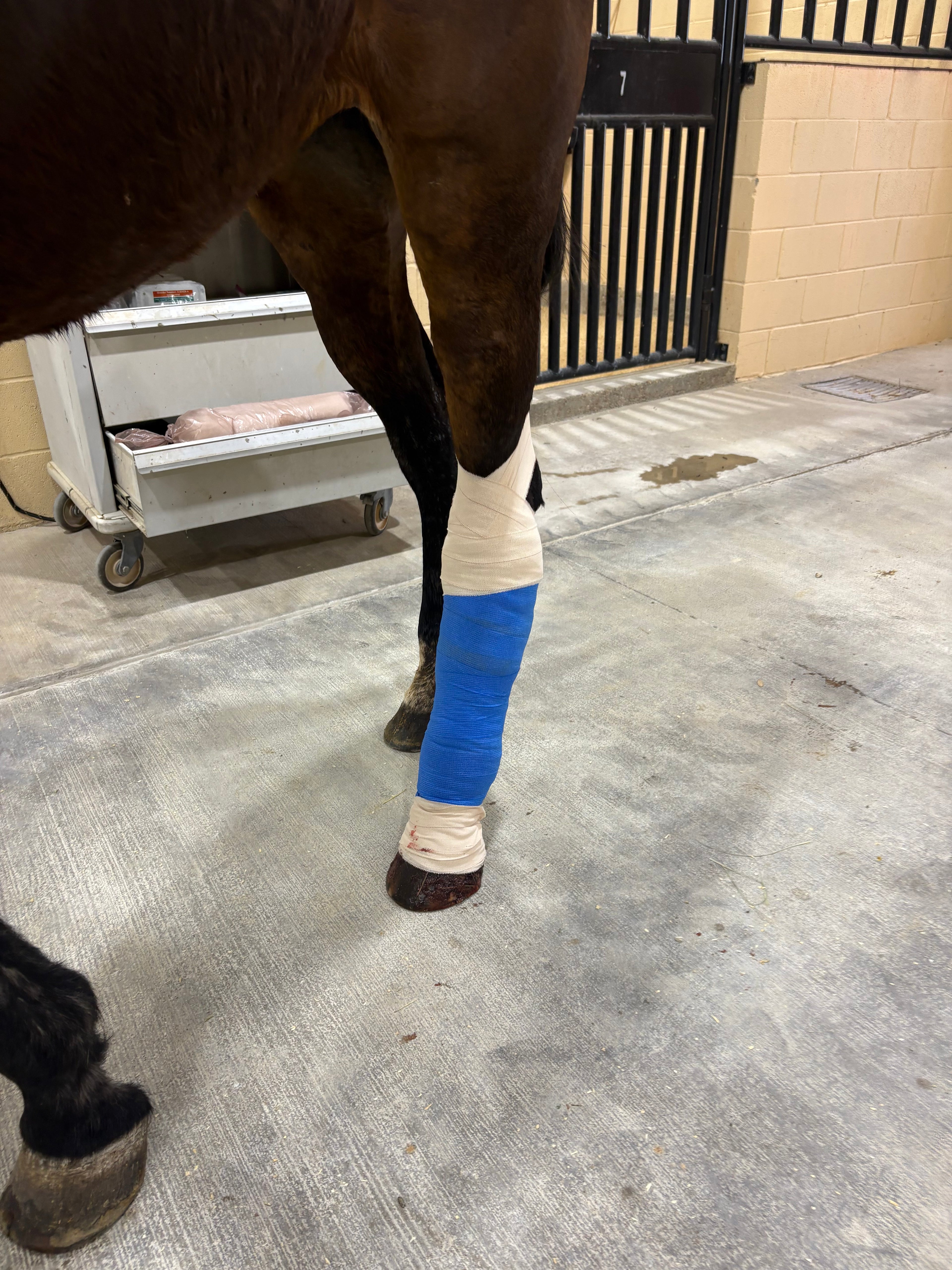 The Lucky Horseshoe Hat — April Drop