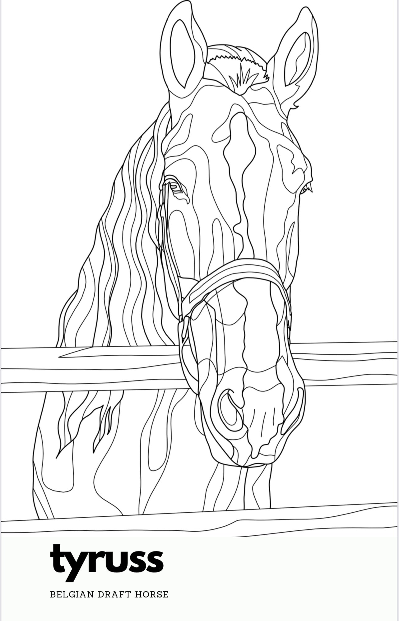ASIAB Issue 2 || Coloring Book and ASIAB Crayons image 2