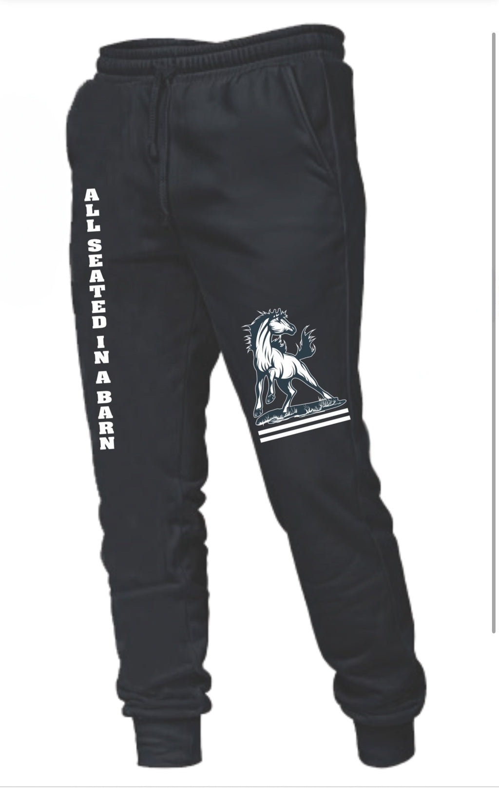 ASIAB 2025 Joggers  image 1