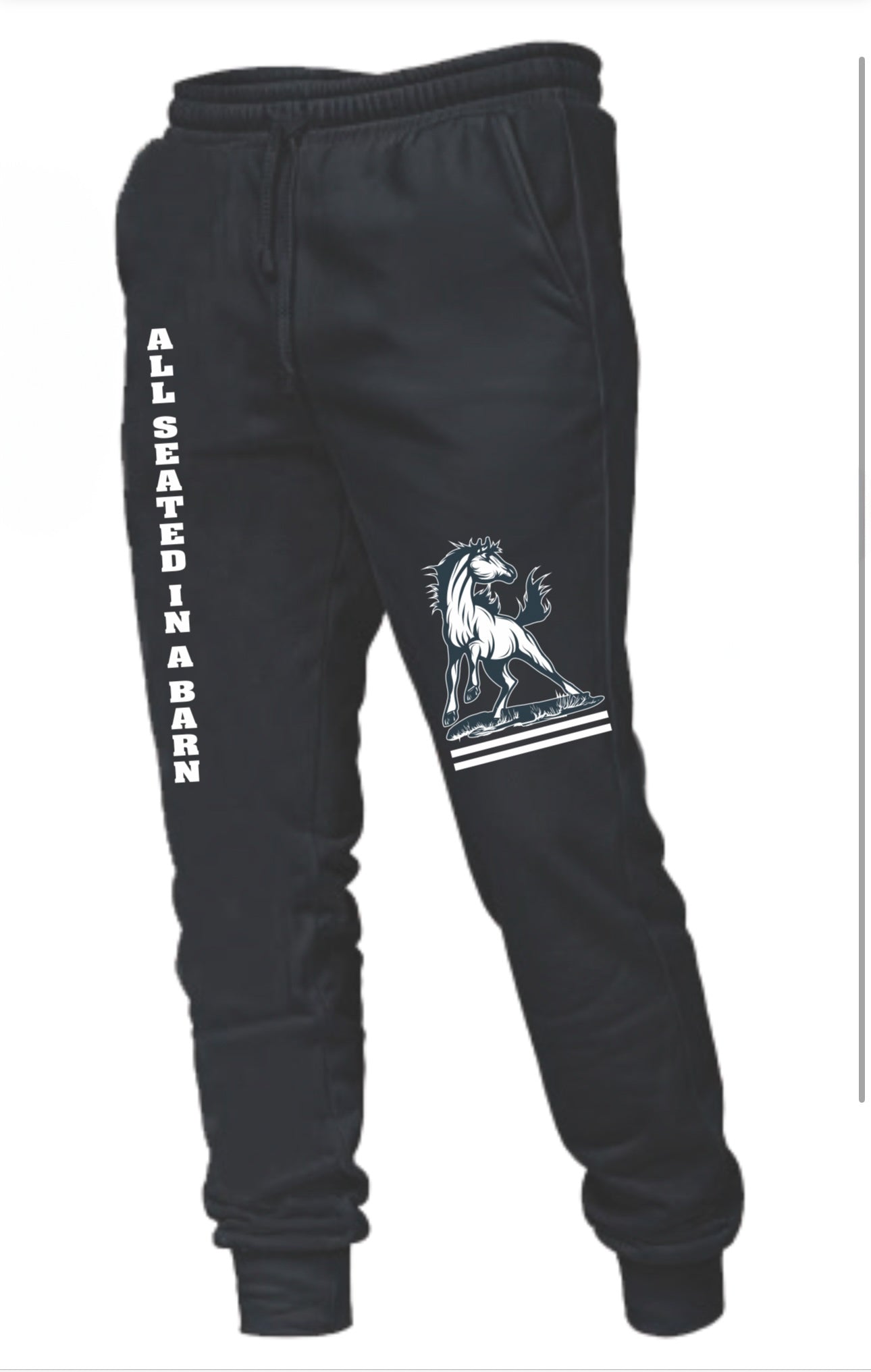 ASIAB 2025 Joggers  image 1