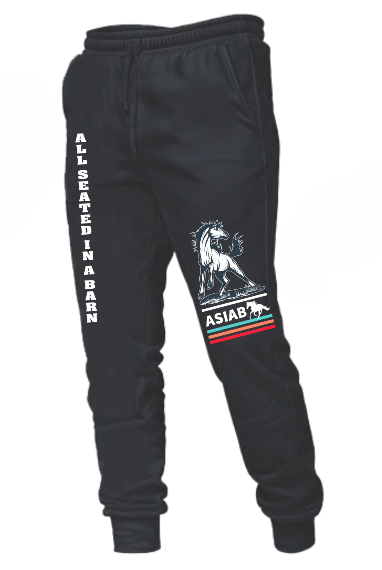 ASIAB 2025 Joggers  image 0