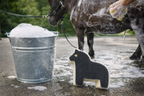 The Sudsy Pony