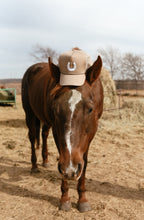 $40 Giveaway: ASIAB SnapBack Trucker hat (PREORDER)