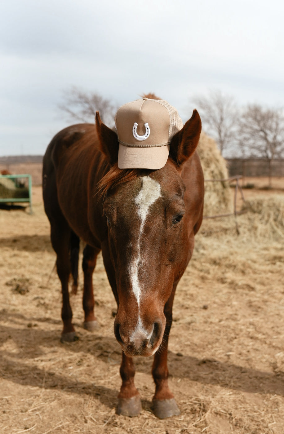 ASIAB Tan Snapback Trucker — Limited Release
