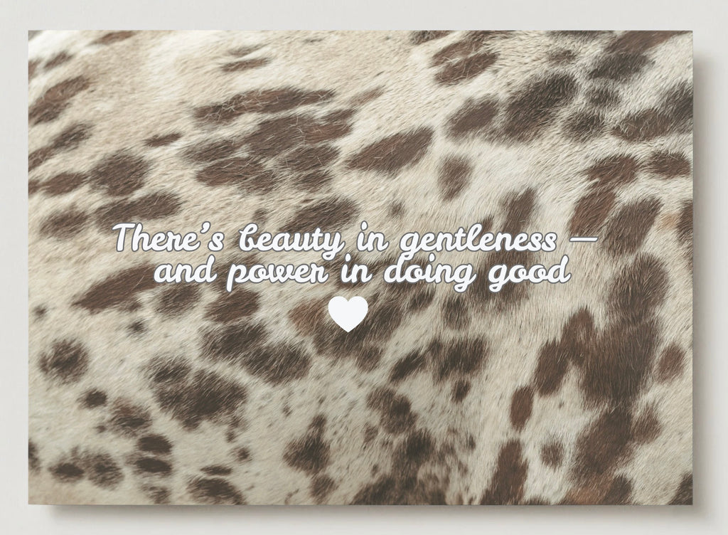 ASIAB ‘ Beauty in Kindness’ | set of 5 blank cards