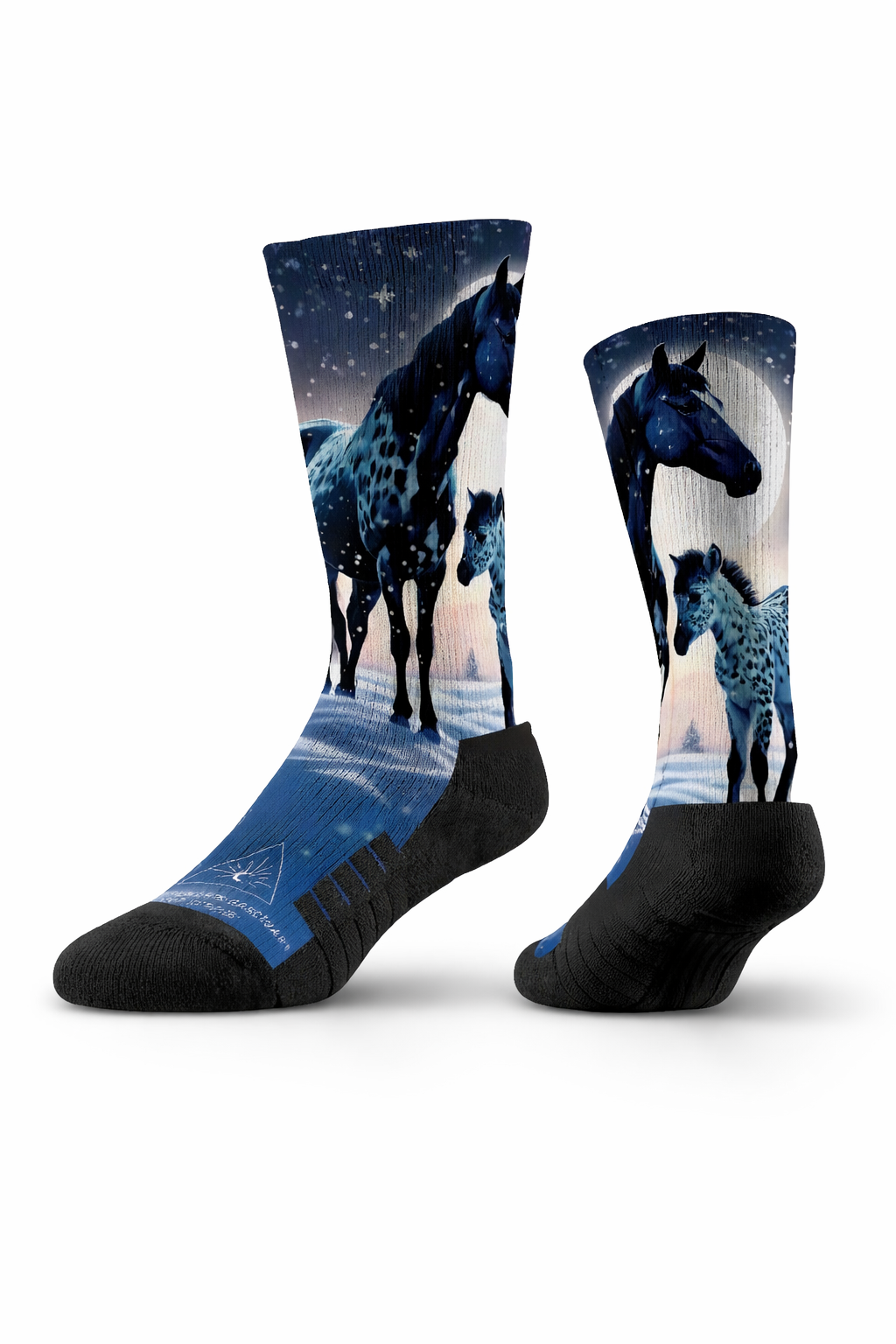 The Moon-apaloosa Crew