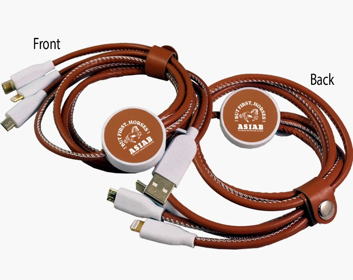 ASIAB 3 in 1 Charging Cable