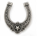 LIMITED : the June Pin : the Lucky Horseshoe