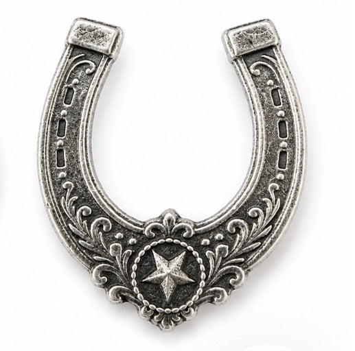 LIMITED : the June Pin : the Lucky Horseshoe