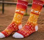 The Ride into the Sunset Crew