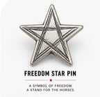 The Freedom Star Pin