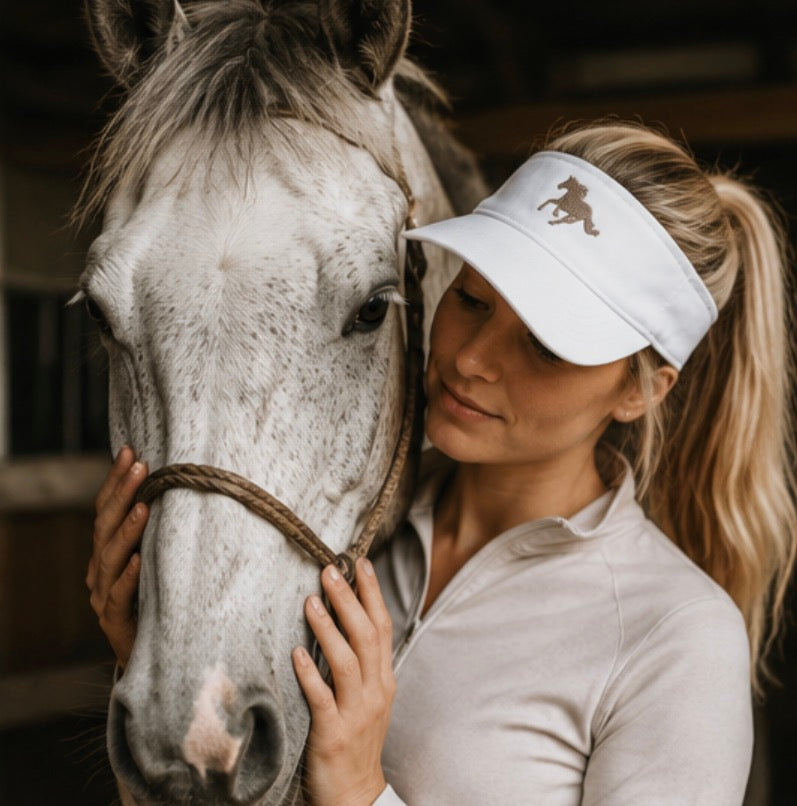 The limited edition ASIAB Visor