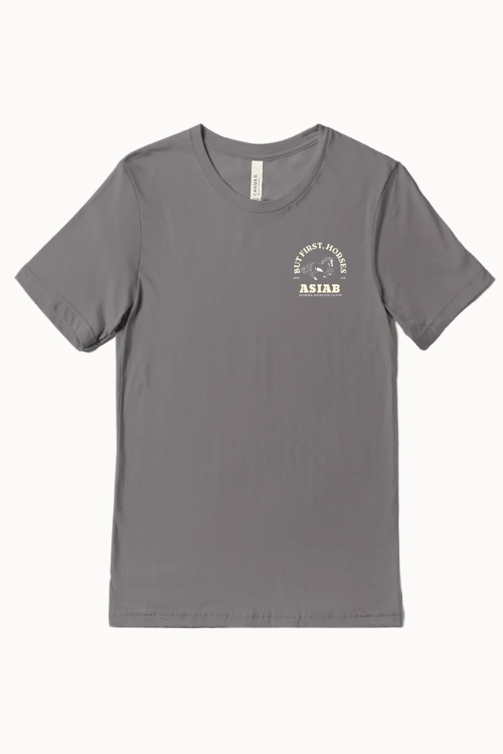 HRC T-Shirt in Gray