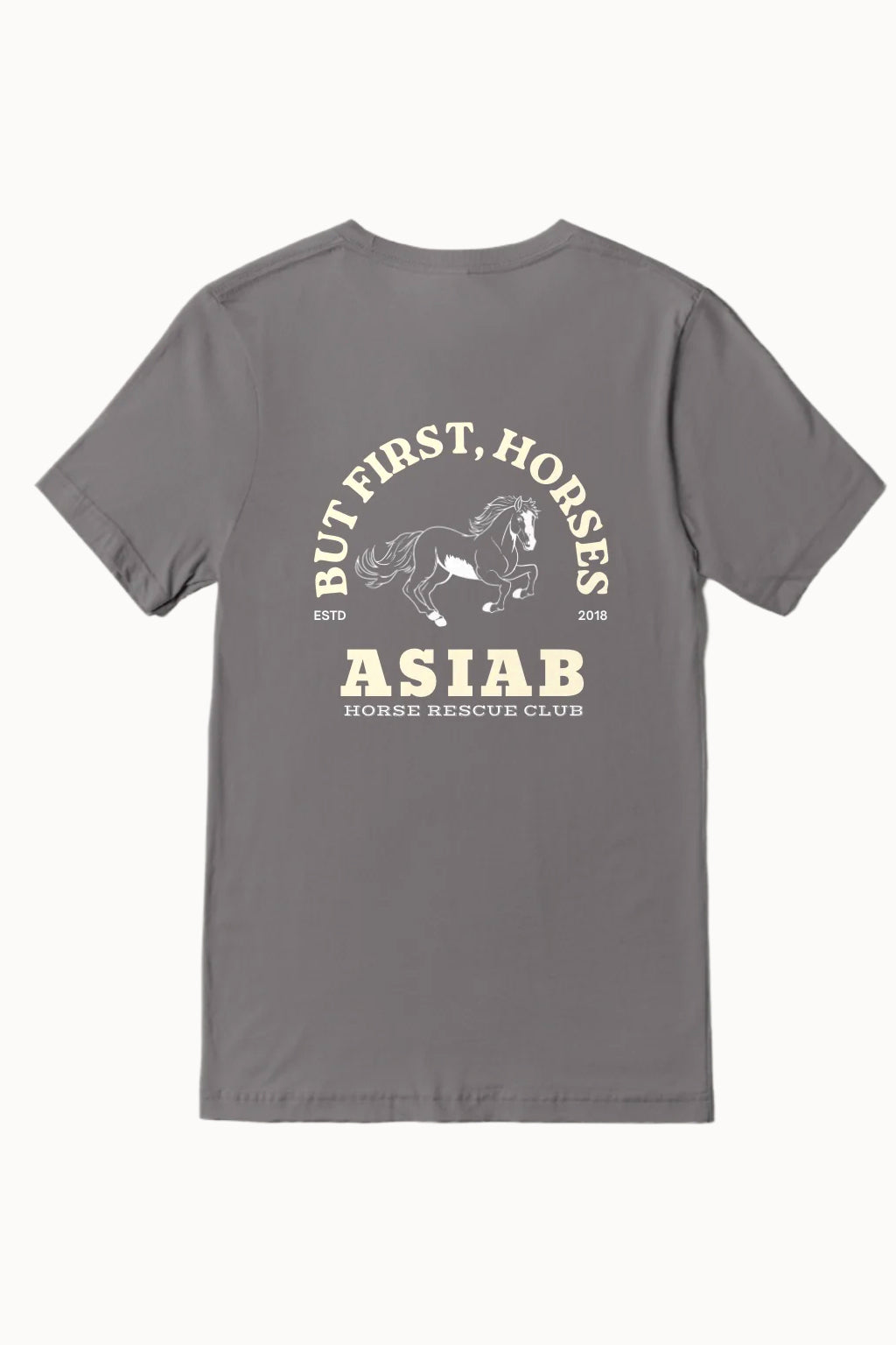 HRC T-Shirt in Gray