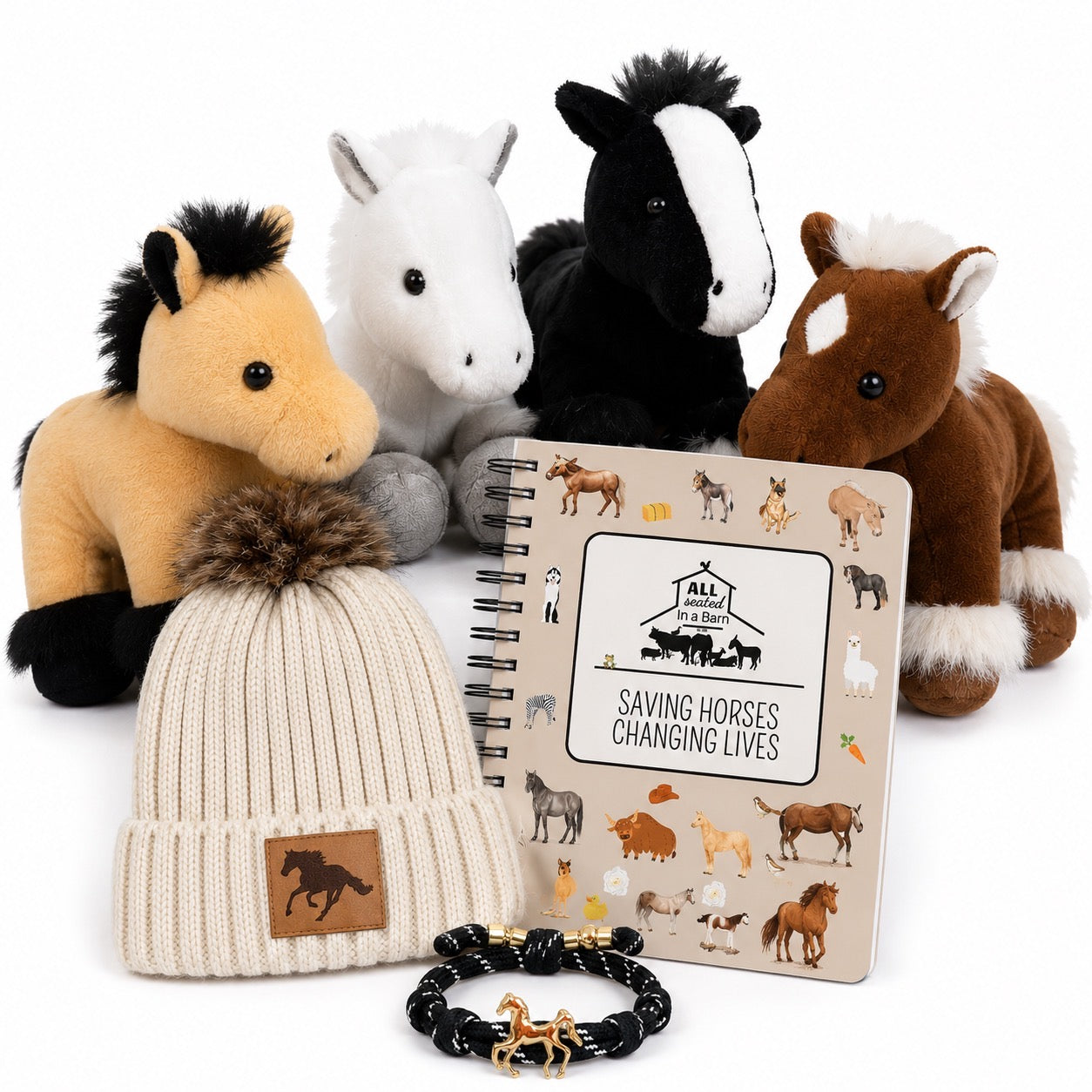 Sponsor an ASIAB Comfort Care Package