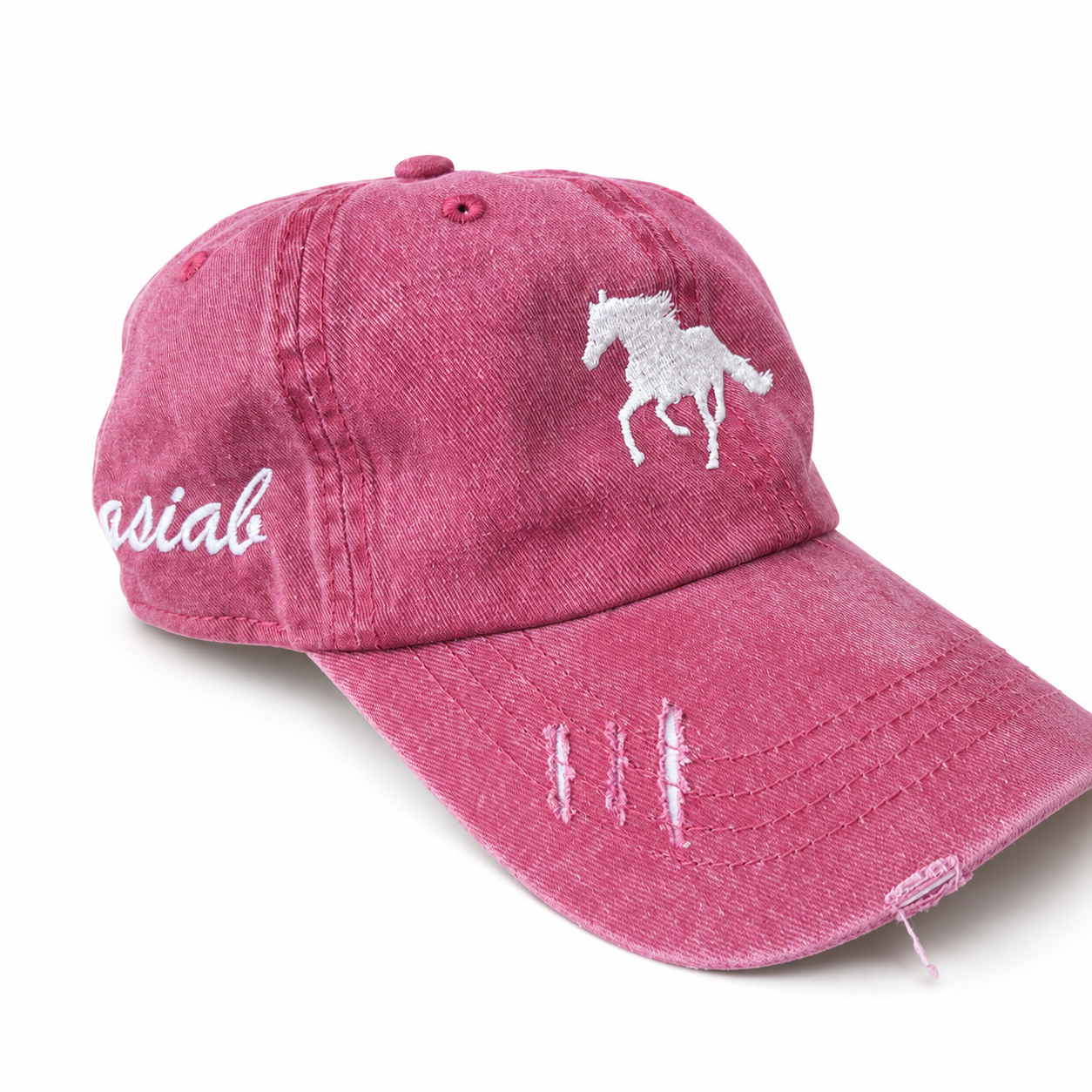 The ASIAB Dad Hat