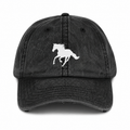 The ASIAB Dad Hat