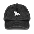 The ASIAB Dad Hat