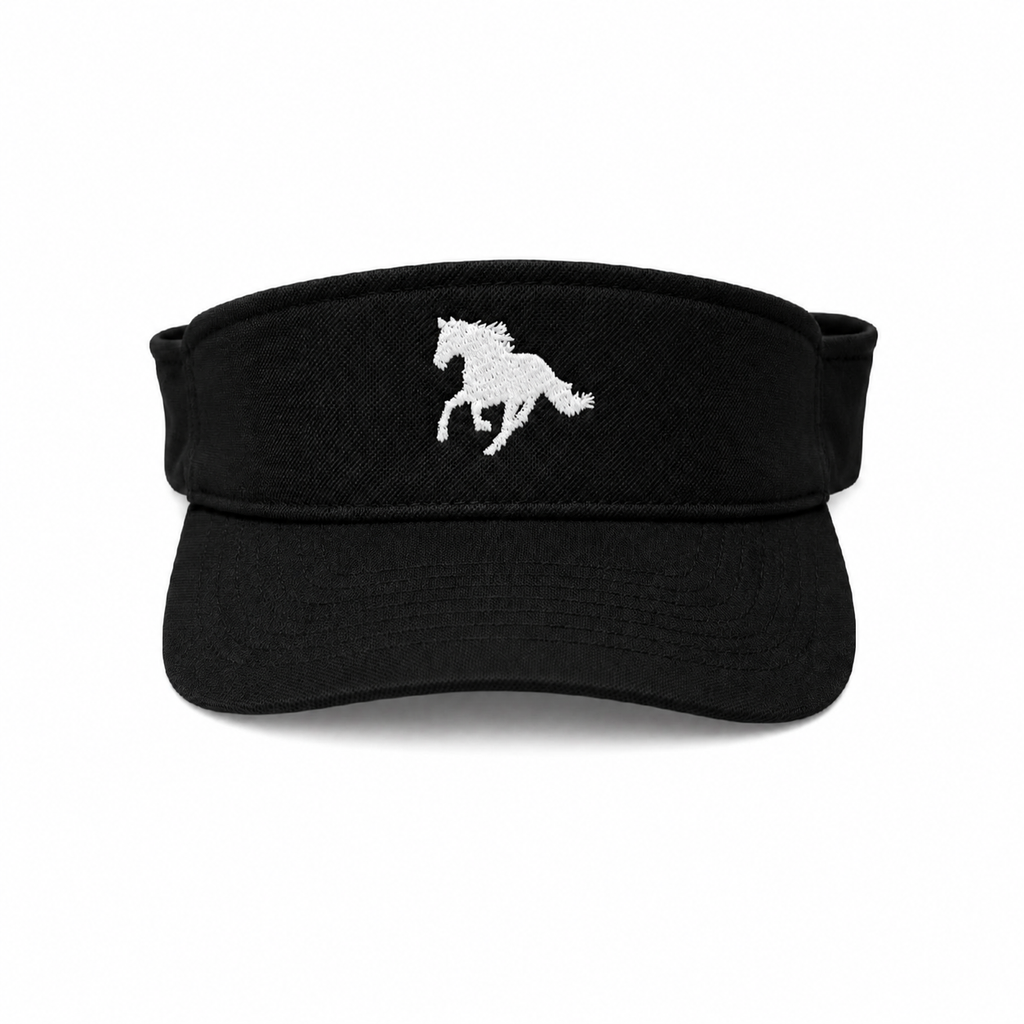 The ASIAB Visor