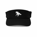 The ASIAB Visor