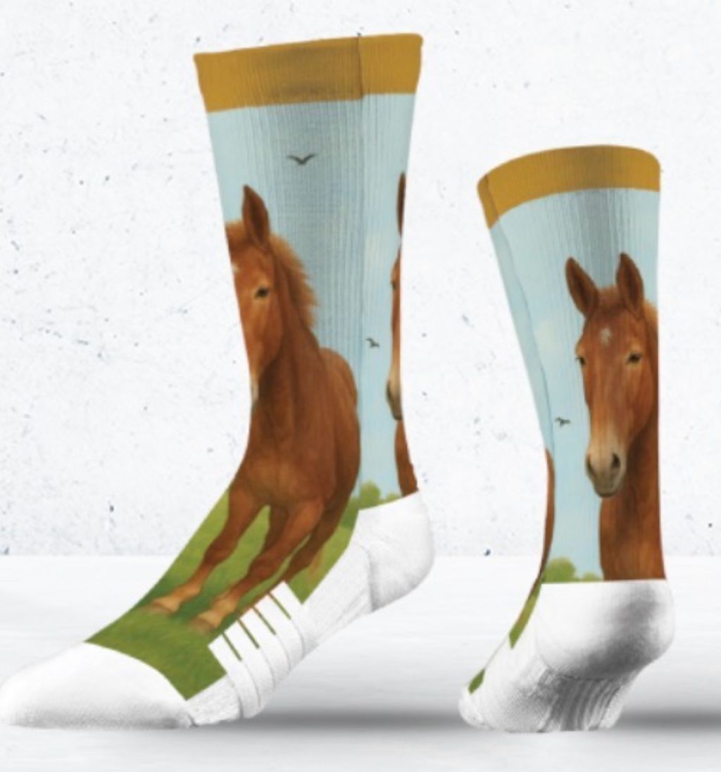 Rancho Burro Sanctuary: The Mr Ed