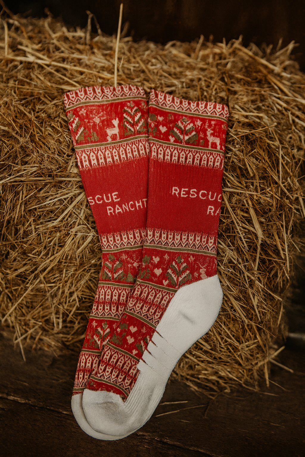 YBS Rescue Partner: Rescue Ranchito Holiday Socks