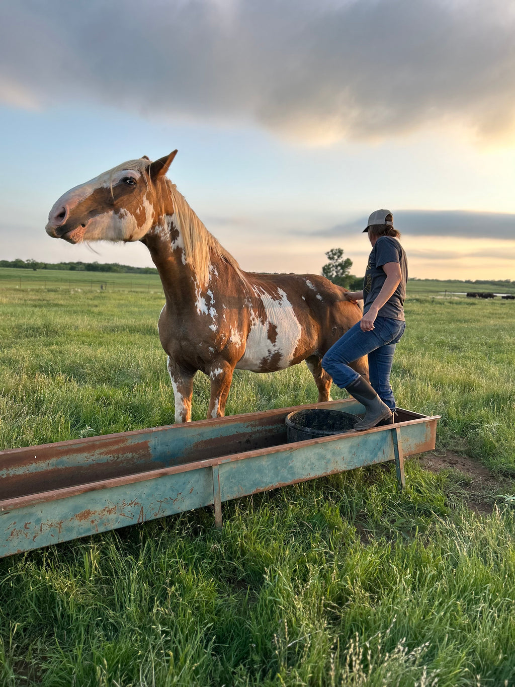 The Lincoln Tote — I Bucking Love Horses