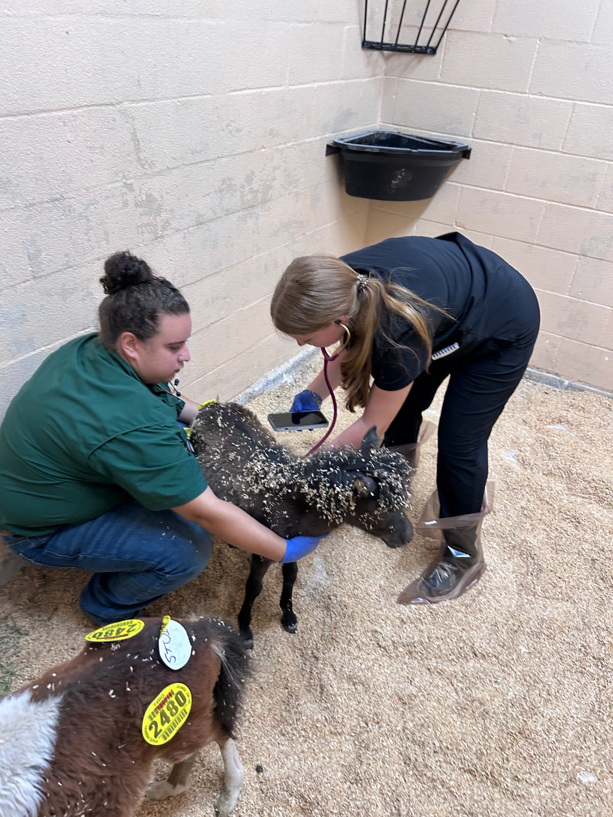 Urgent Fundraiser for the Vet Clinic Property