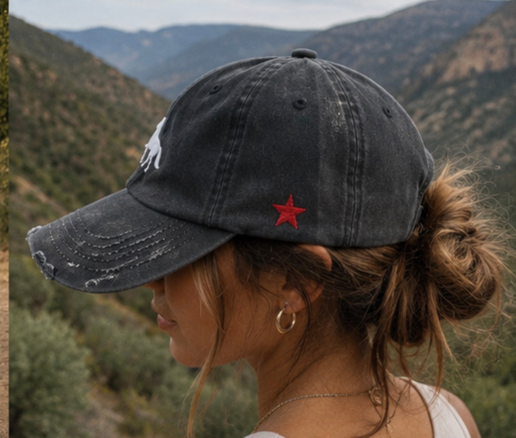The Rescue Drop — the Freedom Denim Dad Hat