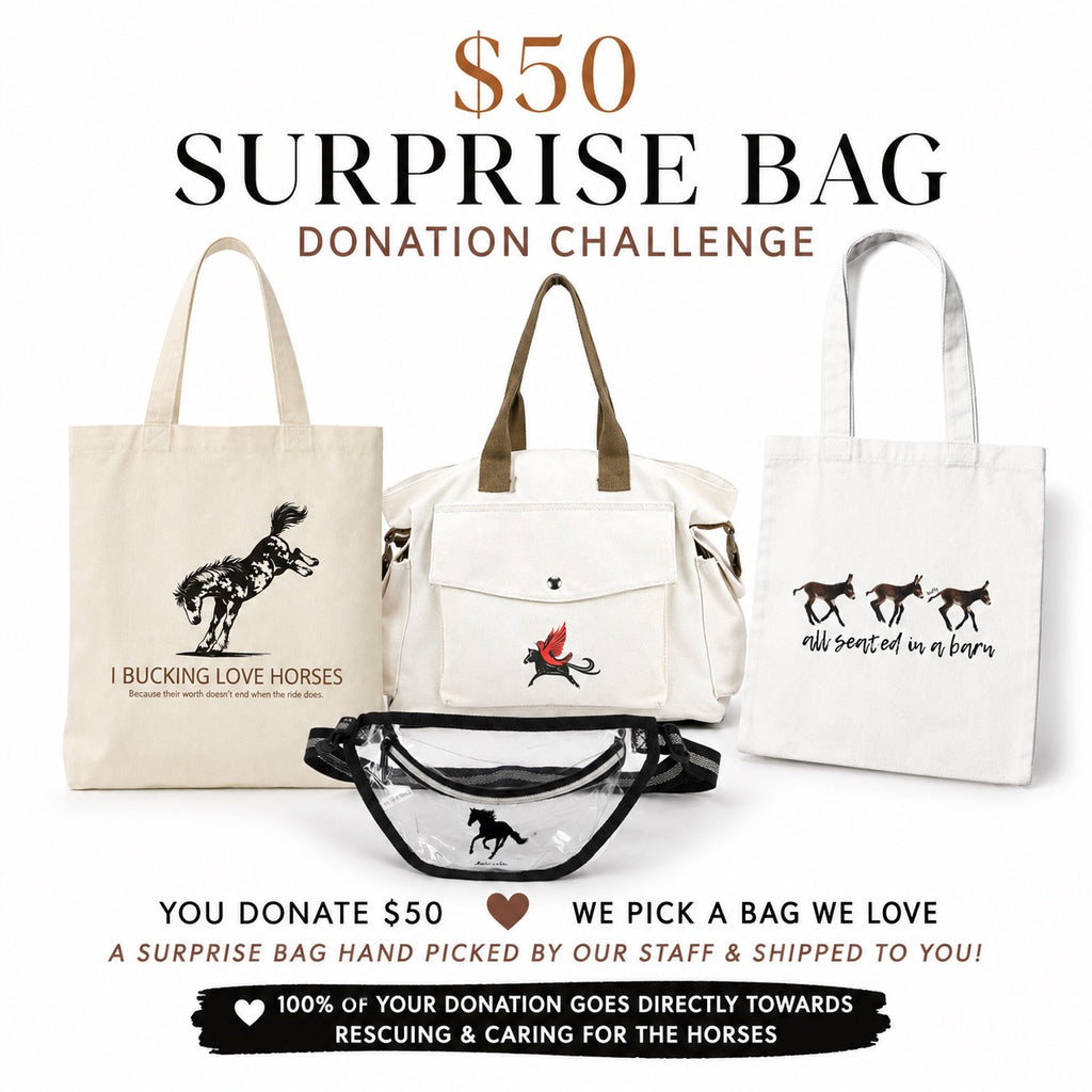 $50 Surprise Bag Giveaway