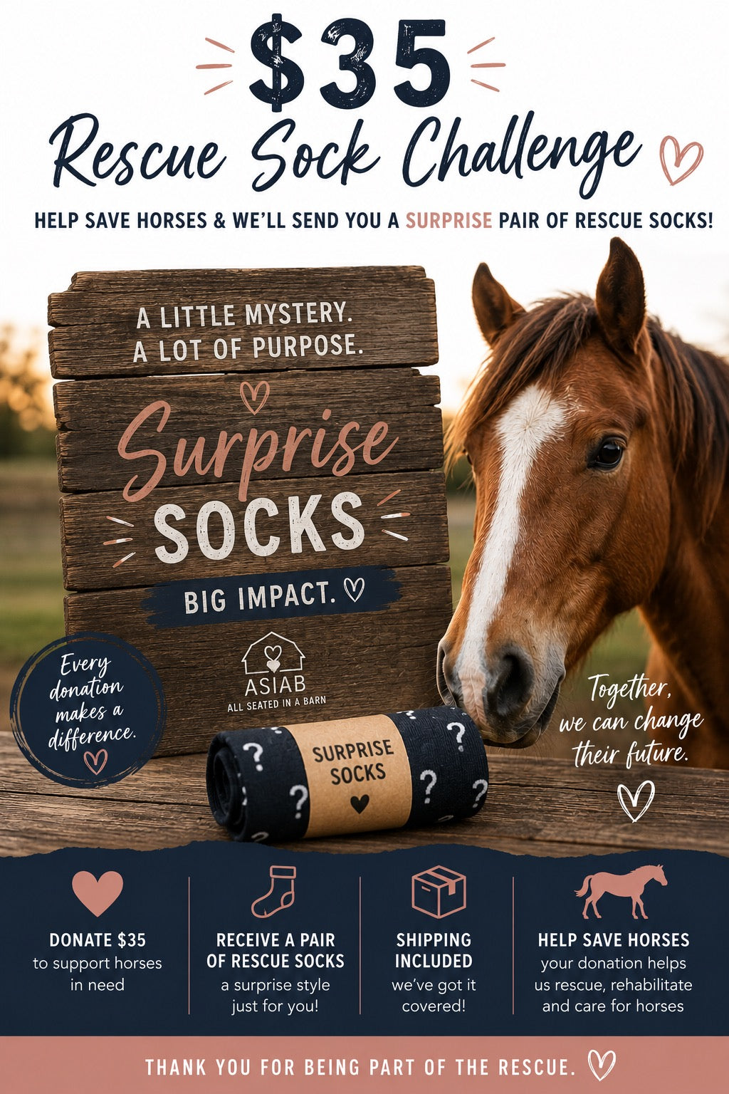 $35 Rescue Sock Challenge