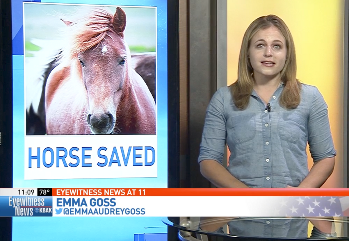 Stacy Rasmussen In the news – All seated in barn
