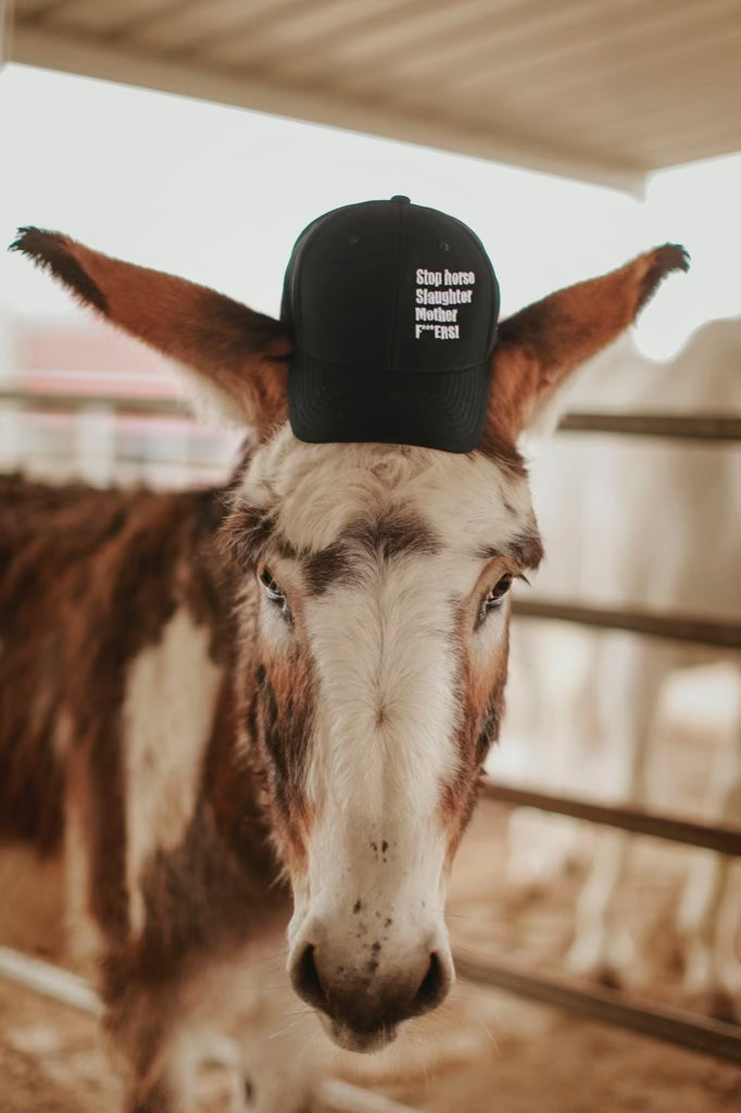 Stop Horse Slaughter Hat