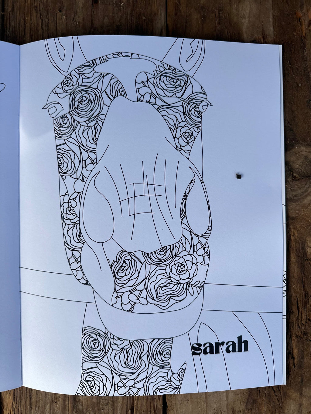 ASIAB Issue 3 || Coloring Book and ASIAB crayons image 3