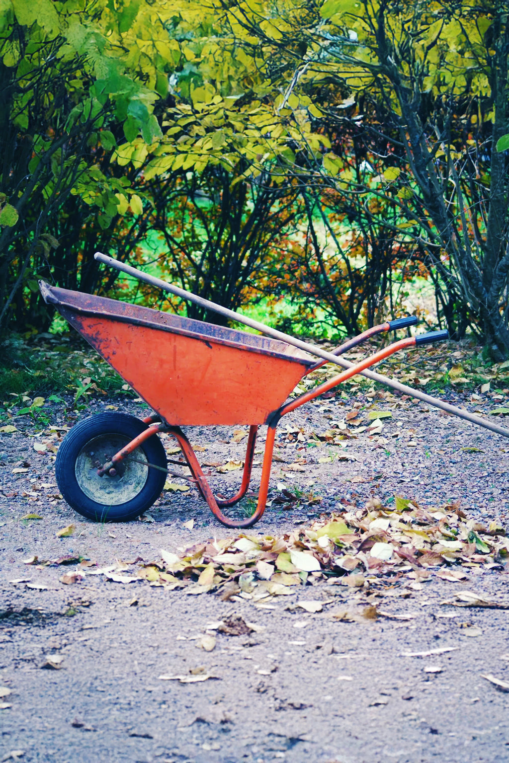 Donate a Wheel Barrow