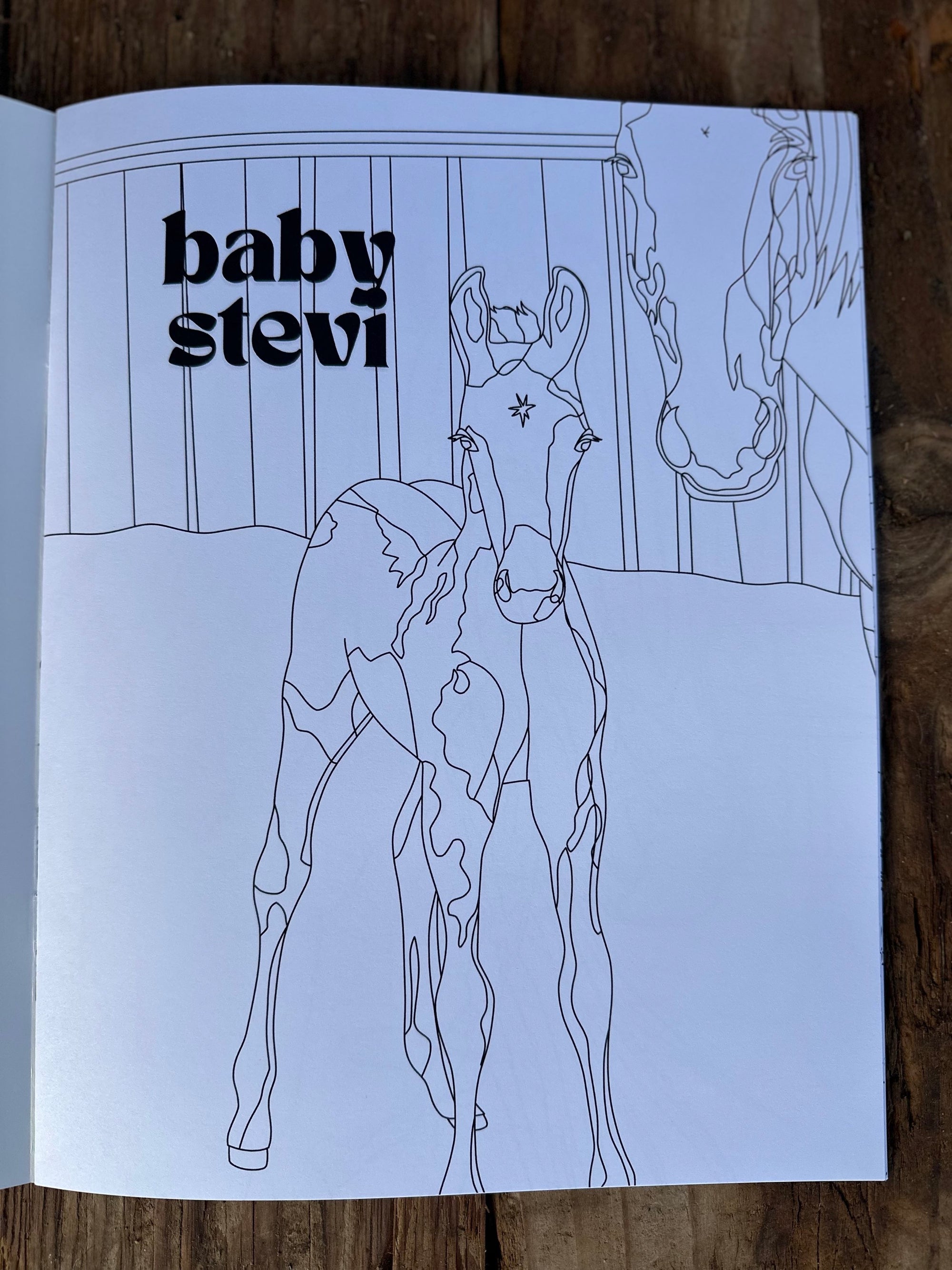 ASIAB Issue 3 || Coloring Book and ASIAB crayons image 1